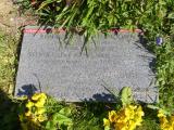 image of grave number 787459